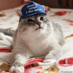 Free access to catinthebluehat (Cat) Leaks OnlyFans 

 profile picture