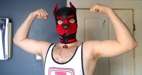 pup_scout onlyfans leaked picture 1