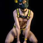 View pupvoltzy OnlyFans videos and photos for free 

 profile picture