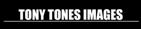 tonytones onlyfans leaked picture 1