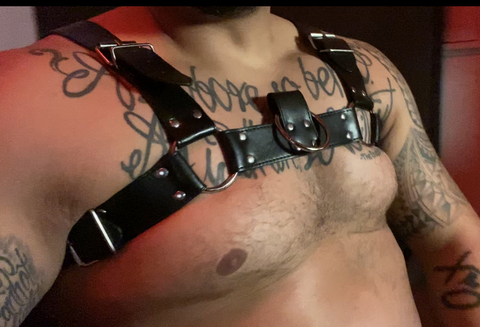 xolotf1 onlyfans leaked picture 1